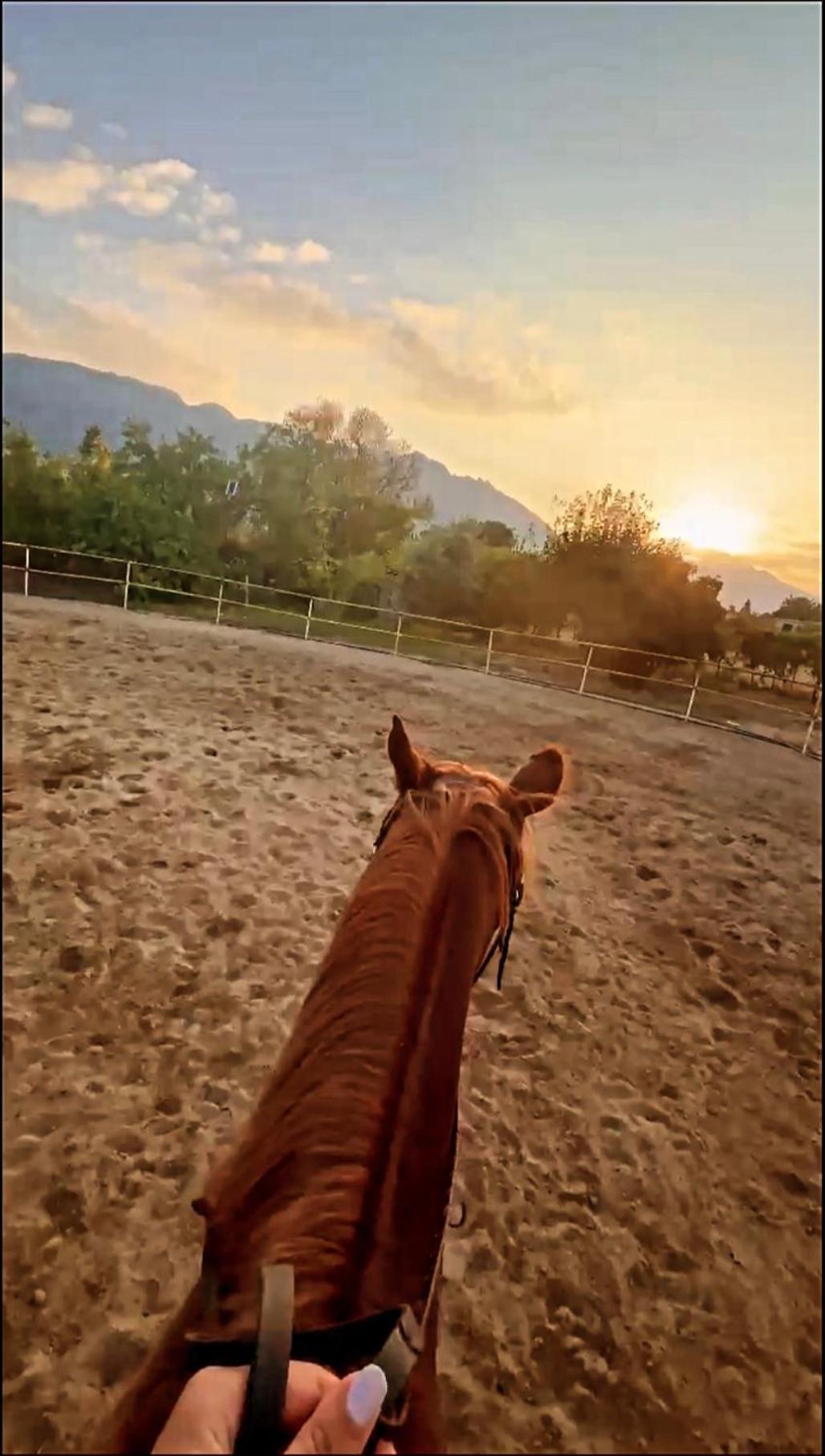 The Horse Farm Hotel Agios Georgios  Экстерьер фото